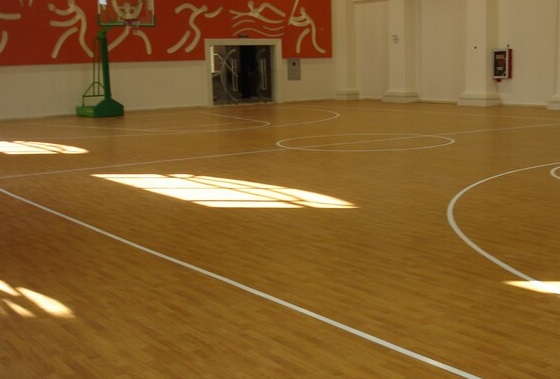 運(yùn)動(dòng)木地板 運(yùn)動(dòng)木地板