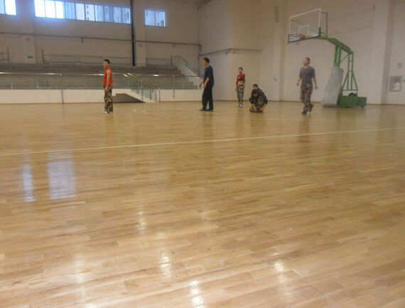 運動木地板 運動木地板