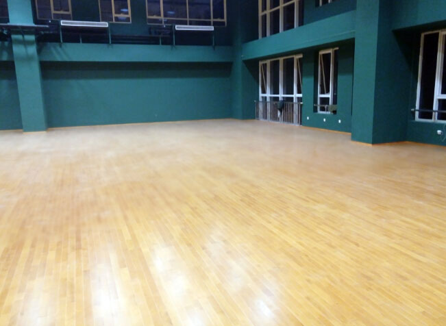 運(yùn)動(dòng)木地板