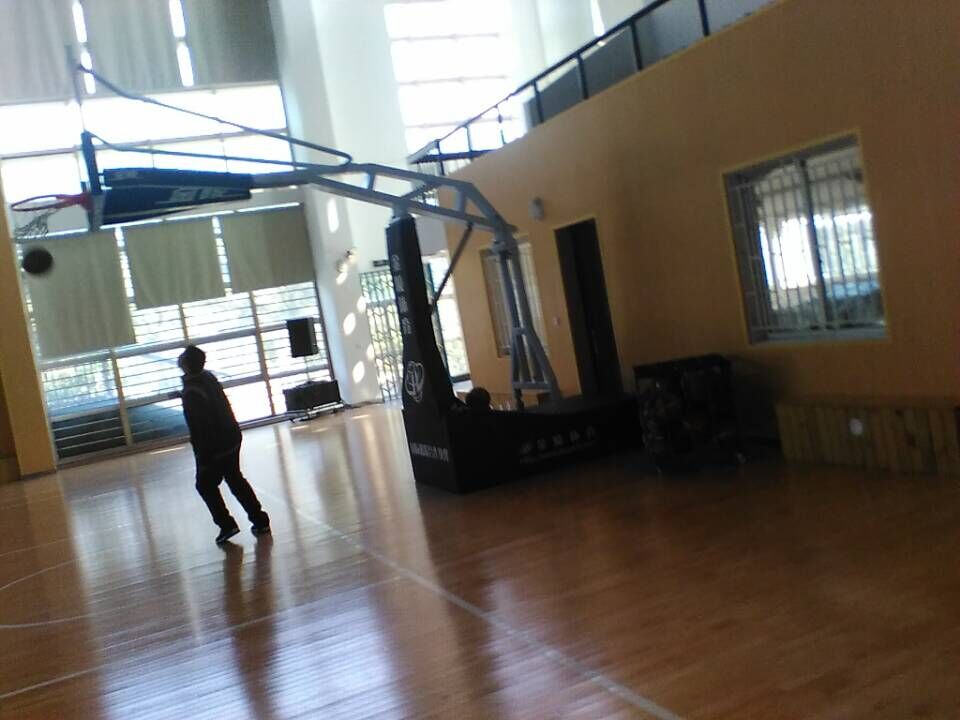 運(yùn)動(dòng)木地板 運(yùn)動(dòng)木地板