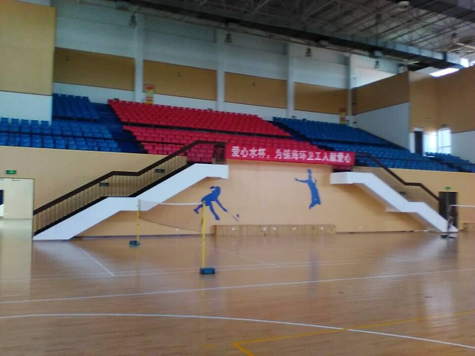 運(yùn)動(dòng)木地板 運(yùn)動(dòng)木地板