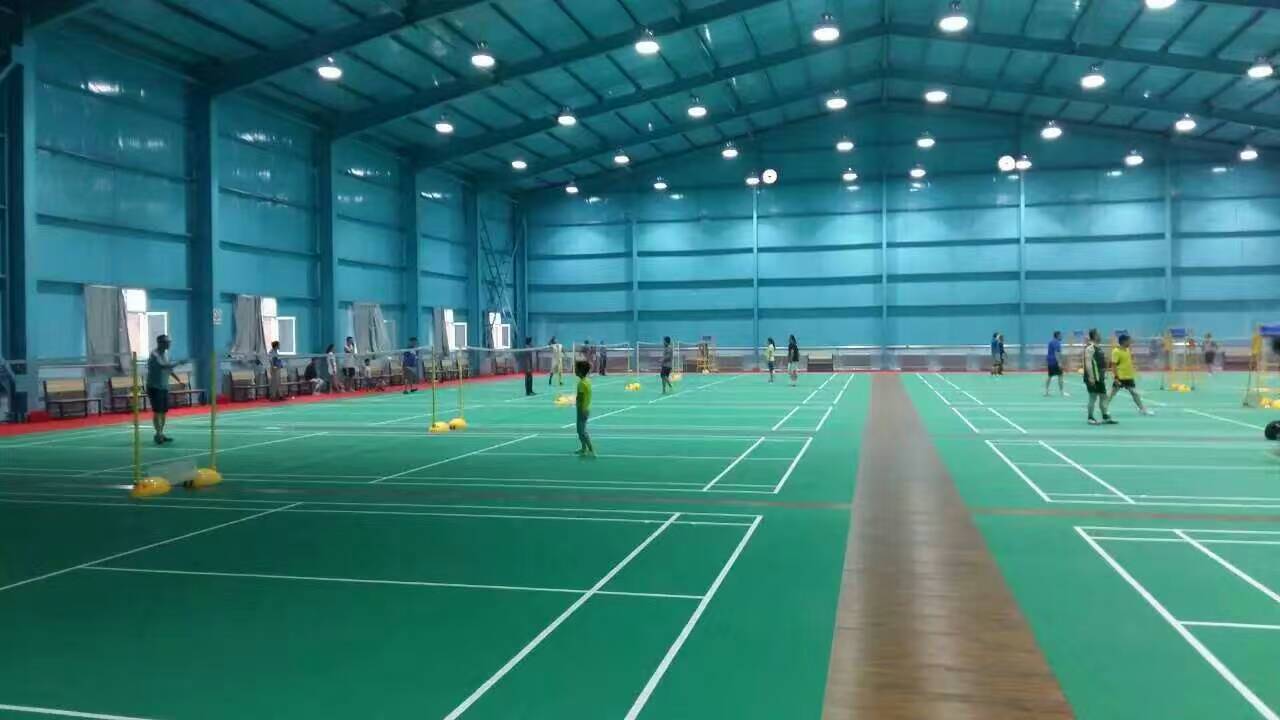 運(yùn)動(dòng)木地板 運(yùn)動(dòng)木地板