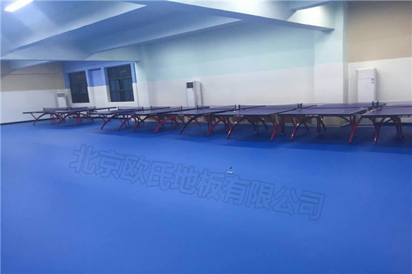 乒乓球地膠,運(yùn)動(dòng)地膠 乒乓球地膠,運(yùn)動(dòng)地膠