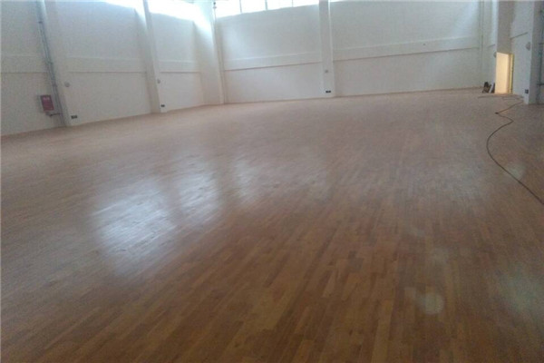 運動木地板 運動木地板