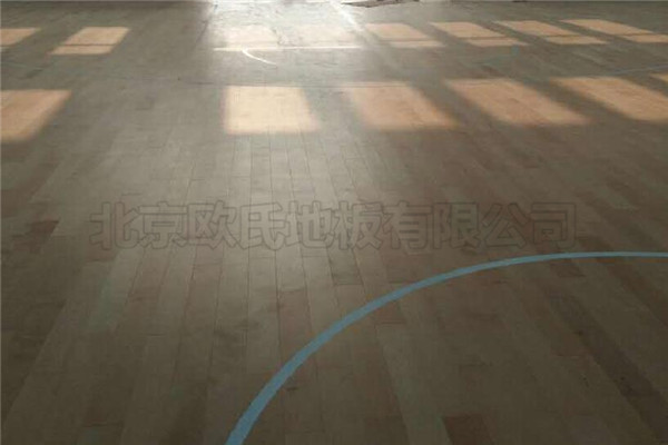 運(yùn)動(dòng)木地板 運(yùn)動(dòng)木地板