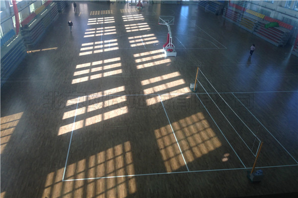 運動木地板 運動木地板