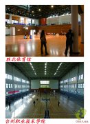 楓木運動地板與柞木運動地板的比較